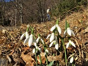 13 Bianchi bucanevi baciati dal sole